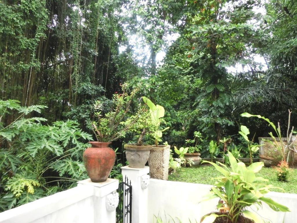 Latugu Homestay Ubud Værelse billede